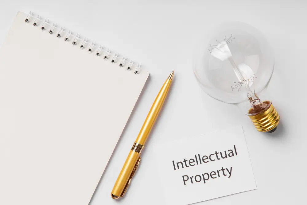 Intellectual Property in Software Products: Protecting Innovation